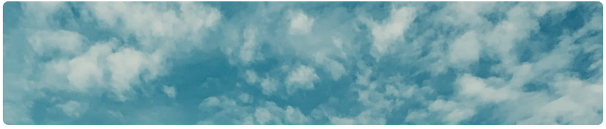 contact_top