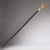 gậy baton chim ưng